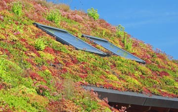 Woodheads living roof systems